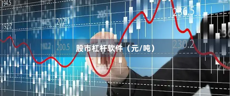 股市杠杆软件（元/吨）