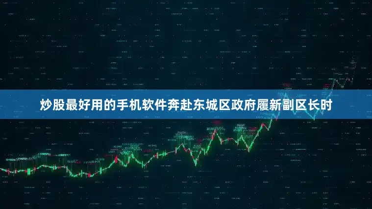 炒股最好用的手机软件奔赴东城区政府履新副区长时