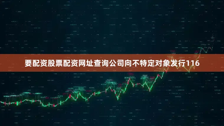 要配资股票配资网址查询公司向不特定对象发行116
