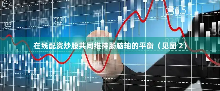 在线配资炒股共同维持肠脑轴的平衡（见图 2）